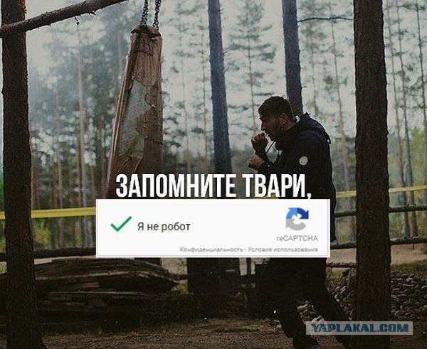 Забавные шутки, картинки и фразы из этих ваших интернетов