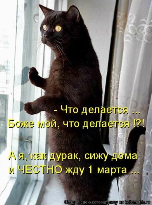 Ускорители Space-X возвращаются на Землю