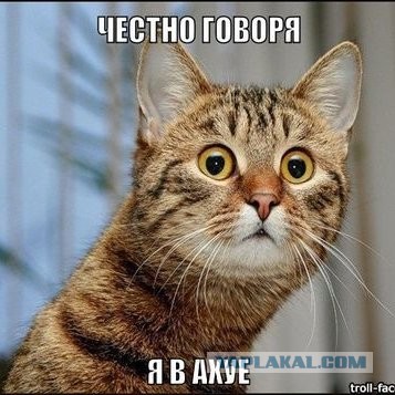 Один из нас...