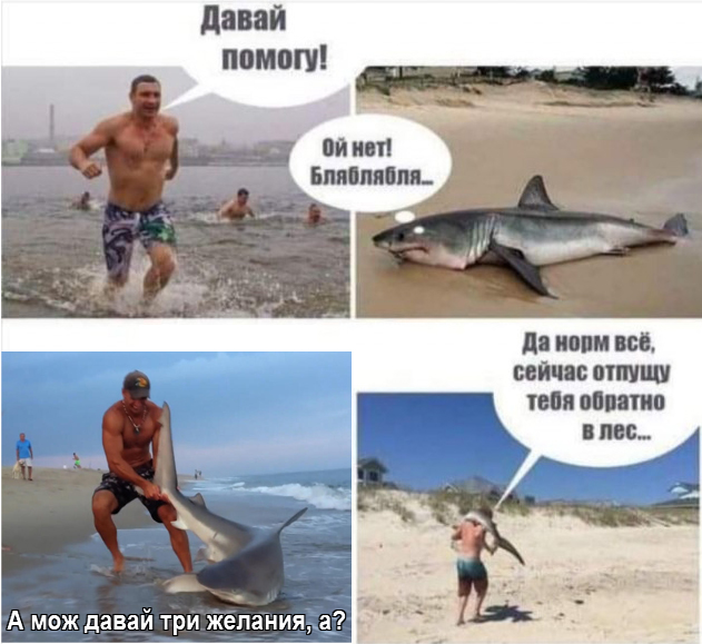 Бредзона 10.05.20