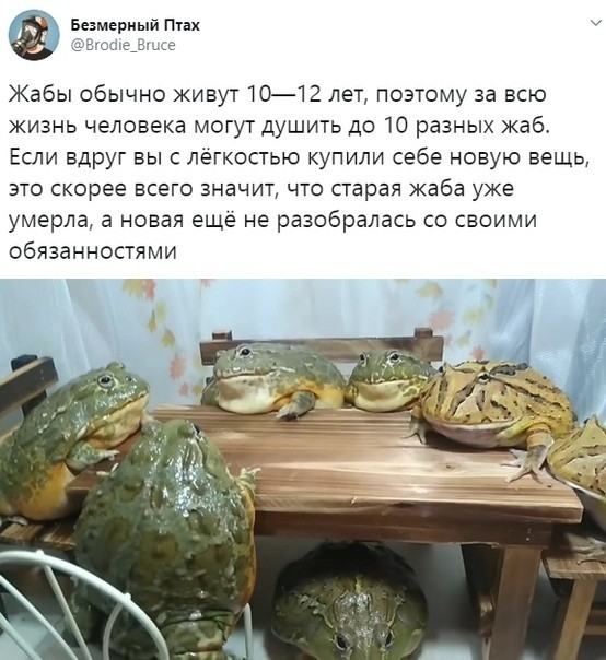 Немного картинок для настроения 16.05.20