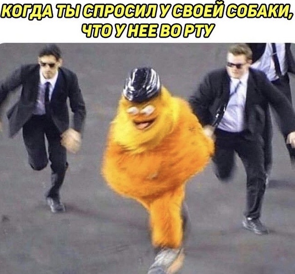Немного картинок для настроения 20.06.20