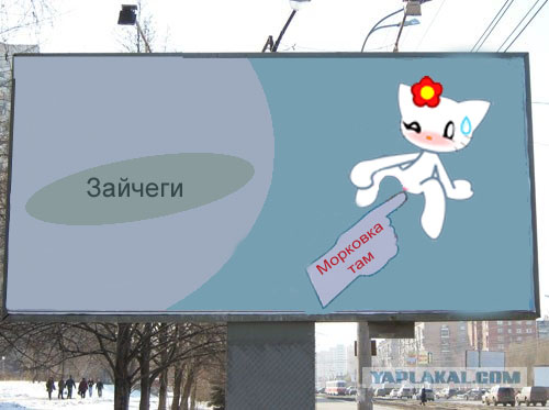 Орган работает! (8 фото)