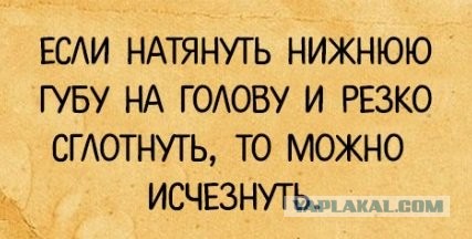 Бредзона 09.09.2020