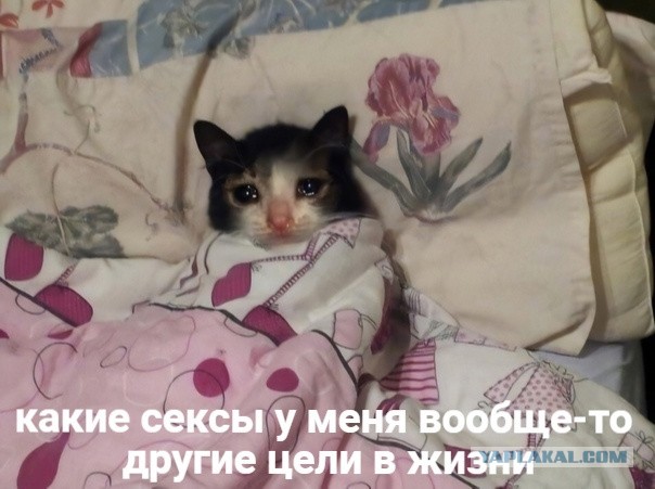 Так себе картинки 16.05.21