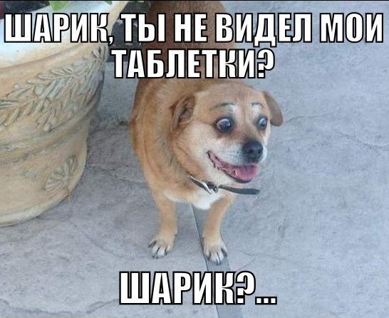 Прикольные и просто красивые картинки 04.06.2021