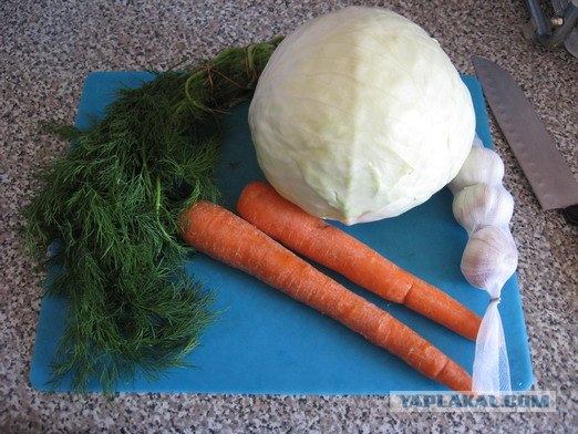 Капуста International, Наступила осень, отцвела капуста...