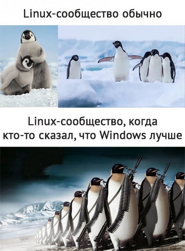 Картинки и мемы для настроения 23.08.2021