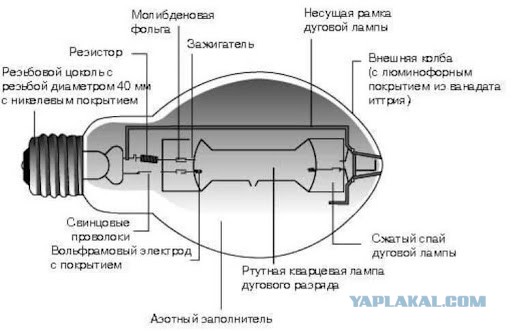 15 людей, нашедшие рядом с собой странные вещи, но что это такое им смогли объяснить только в Интернете