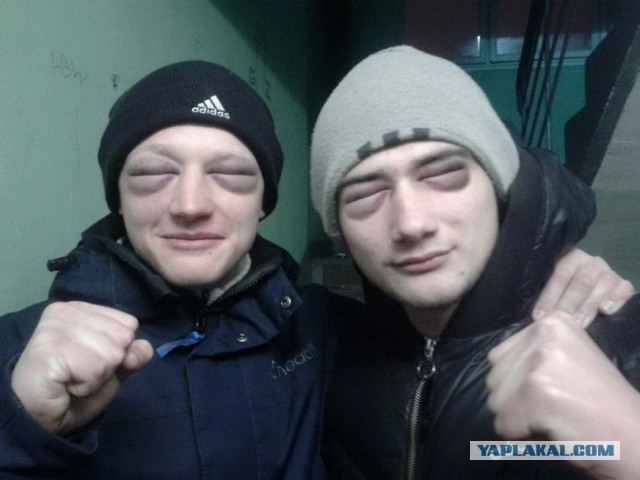 Быдлорама