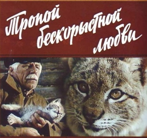 Жестокое нападение рыси на человека +18
