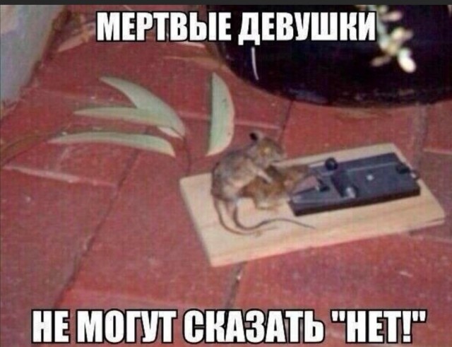 Так себе картинки 15.04.22