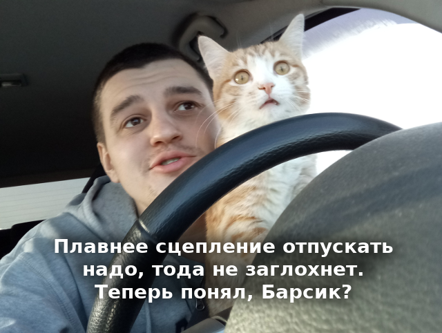 Немного картинок и прочей хреноты Vol. 14