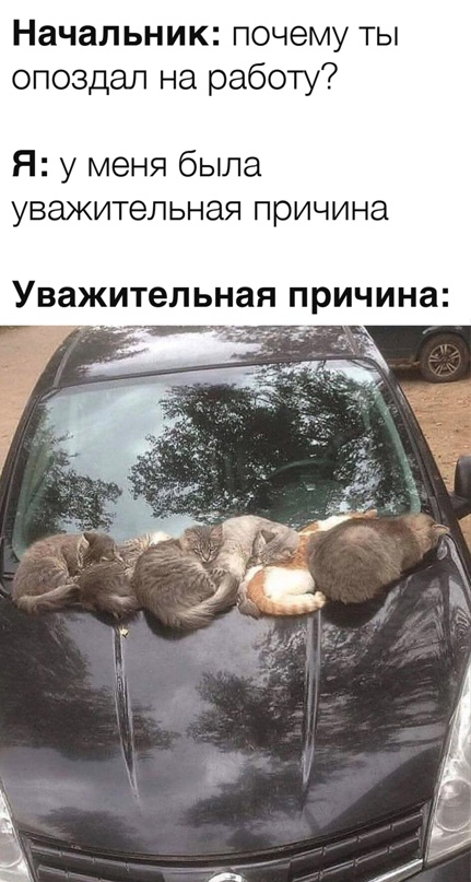 Картинки и мемы для настроения - 21