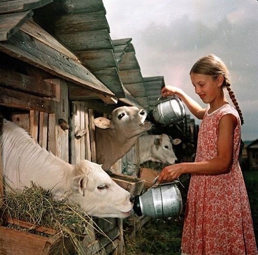 Ты ведь был маленький, а мир казался ярче и волшебным