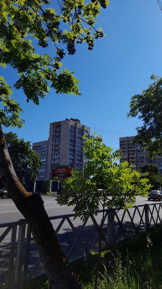 Меня бросил муж