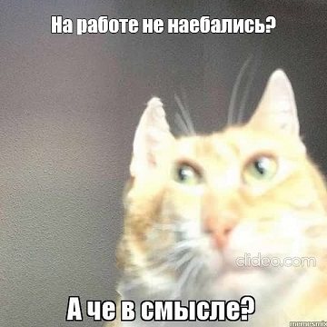 Интересные факты о съёмках порно