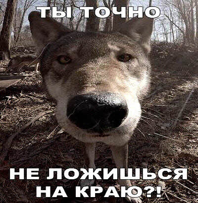 "Это вам не овечек считать"