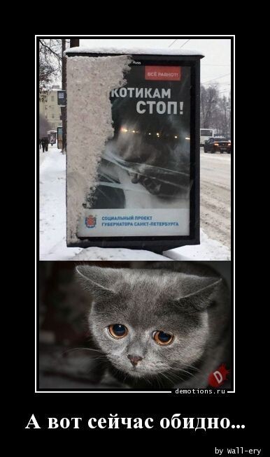 Картинки с надписями 12.02.23