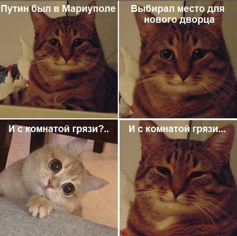 Путин съездил в Мариуполь