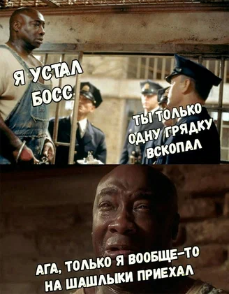 "Ленивая" невестка