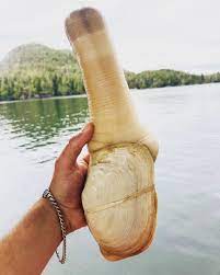 Попробовала устрицы