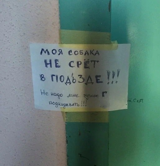 Перлы 02.11.23