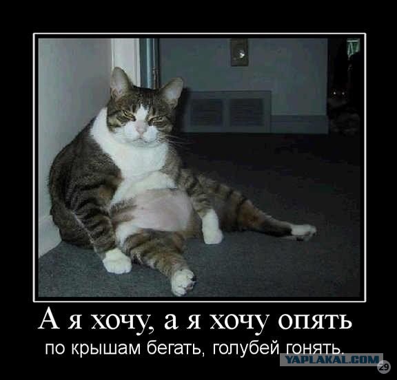 А что если?
