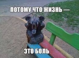 Как з@еб@ть медведя