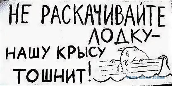 Дамбу прогрызли грызуны