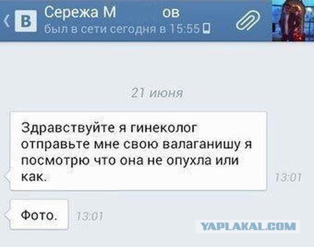 Разработчики представили первую версию раздела знакомств на Госуслугах