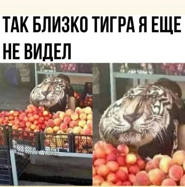 ТРРРидцать тРРРи от 21 мая