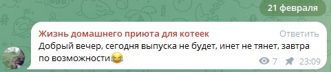 Жизнь домашнего приюта для котеек 532