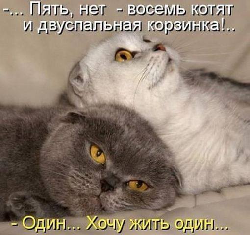Веселые картинки во Всемирный день энергоэффективности (05.03)