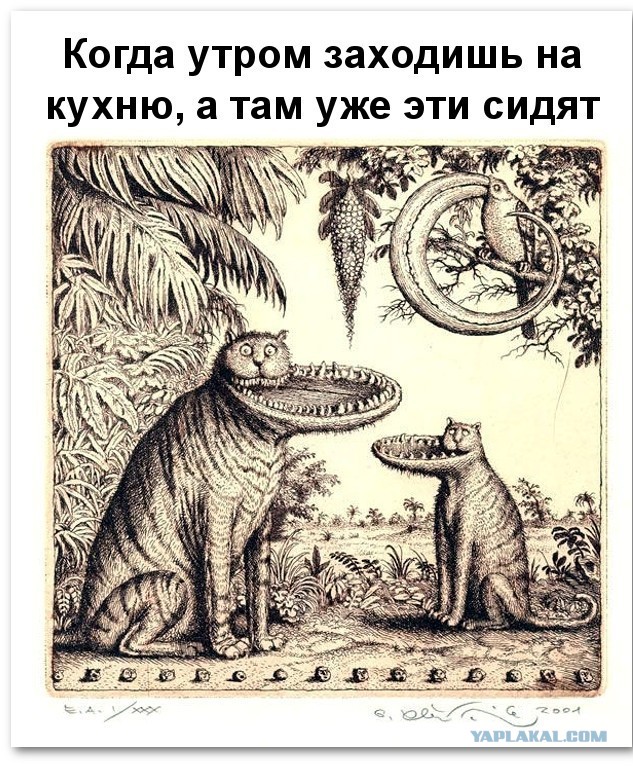 Когда забыл купить корм ему
