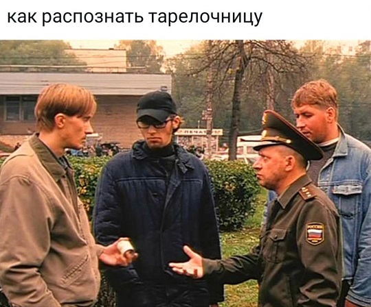 Я выбираю Спорт