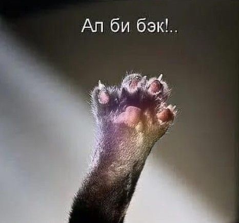 Прикольные и просто красивые картинки 25.11.2025