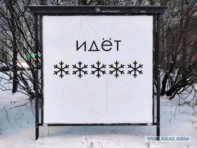 Субботние картинки