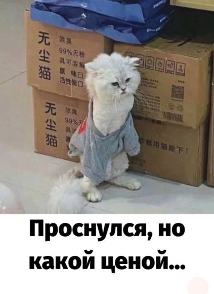 Субботние картинки