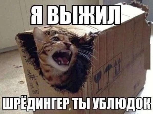 К котовторнику: подборка картинок-баянов с котиками и про котиков. Выпуск 31.