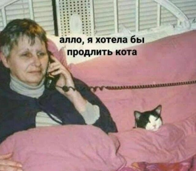 Четверговые картинки