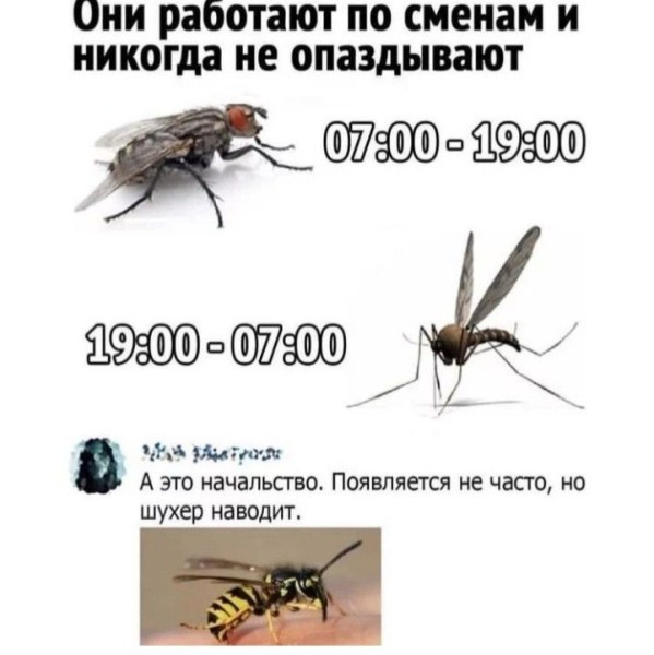 Среды картинки