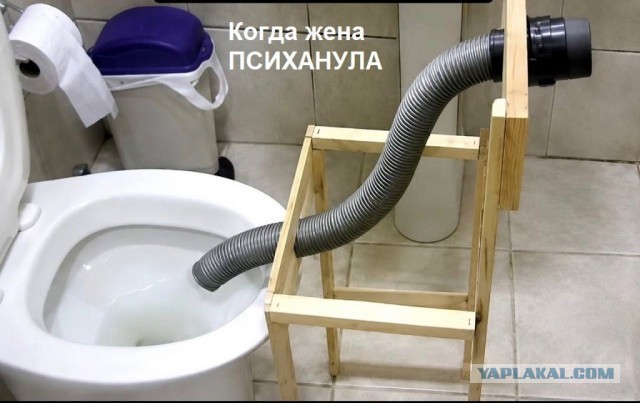 Картинки для деградации 236 (разной степени свежести)