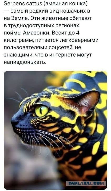 Тс-с-с-с