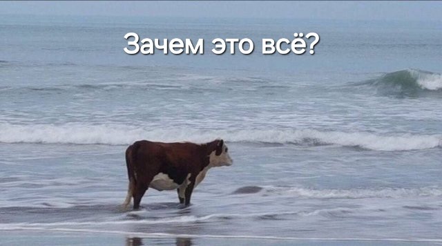 «Кирюха, не усугубляй ситуацию»