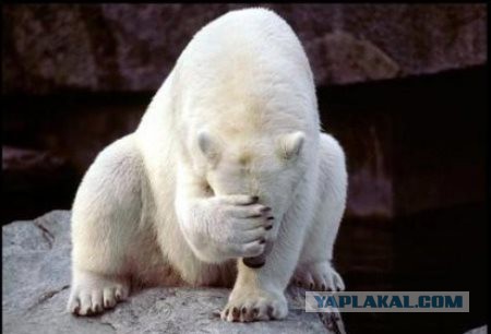 Странный гуманойд на трессе в Англии.