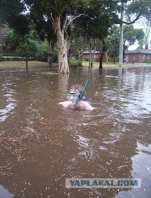 Потоп в Мельбурне