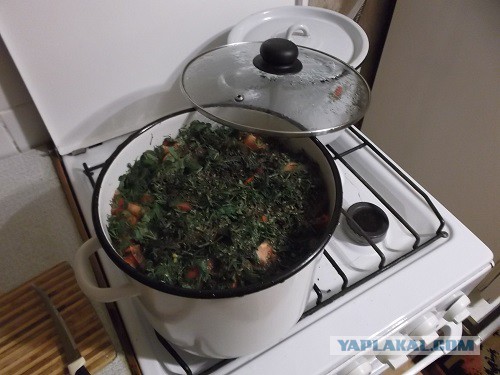 Варенье из сосны