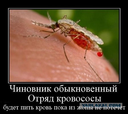 Правительство высосет последние соки