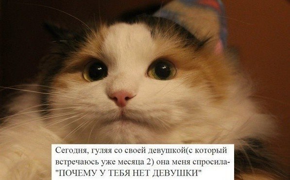 Позитивные картинки и комментарии.